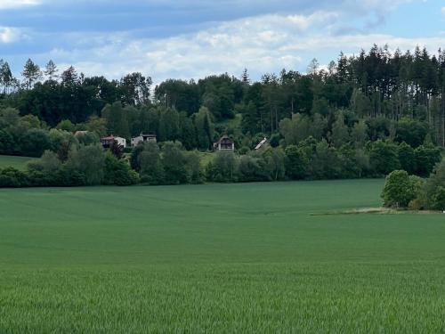 a large green field with houses in the background at Dům v přirodě in Vilice
