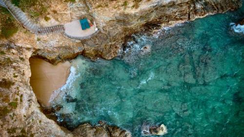 an aerial view of a beach and the ocean at ZOA Hotel - Adults Only in Mazunte