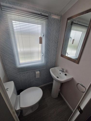 a bathroom with a toilet and a sink and a mirror at AMC Flamingo Land Caravan, Motorhome & Campervan Hire in Kirby Misperton