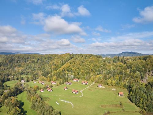 an aerial view of a green field with trees at Holiday Home Stárkov by Interhome in Stárkov