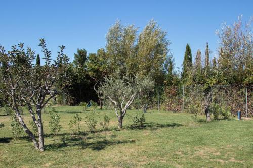 Taman di luar Agricampeggio Ippocampo