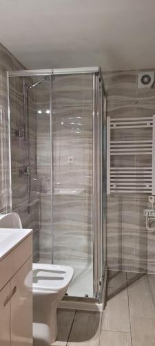 ein Badezimmer mit Dusche, Toilette und Waschbecken in der Unterkunft Casasoutelo in Carrazedo