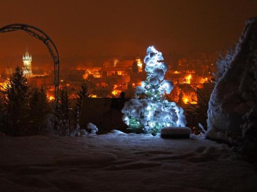 a christmas tree with lights in the snow at night at Bella Vista in Vrchlabí