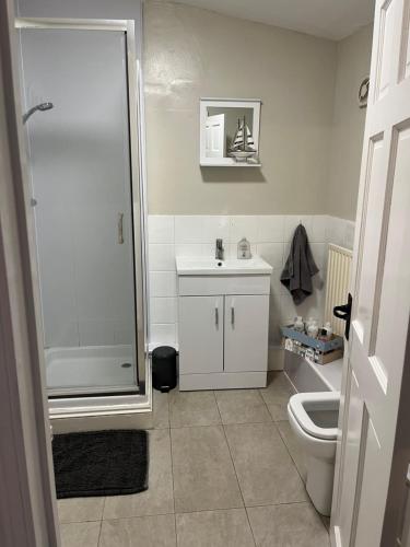 a bathroom with a shower and a toilet and a sink at Beautiful Countryside Cottage Alnwick Northumberland in Alnwick