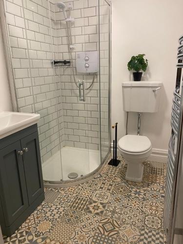 a bathroom with a shower and a toilet and a sink at Turner's hill house in Kingscourt