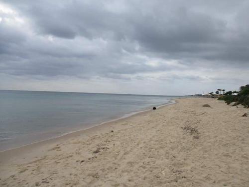 a sandy beach with the ocean on a cloudy day at Le lagon de Hammamet in Hammamet
