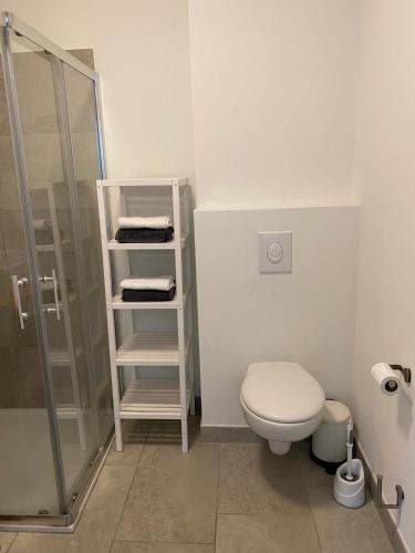 une salle de bain avec toilettes et douche en verre dans l'établissement Résidence Les Cyclistes, appartement La Musette, à Malaucène