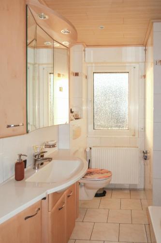 a bathroom with a sink and a toilet and a mirror at Homestay - Panoramablick über Büdingen in Büdingen