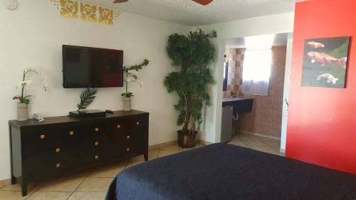 a bedroom with a bed and a flat screen tv at Lago Motor Inn in Lake Worth