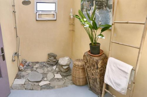 a bathroom with a potted plant in a shower at Elegant Villa with Sea View in Politika in Politiká