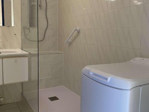 une salle de bain avec une douche, des toilettes et un lavabo dans l'établissement Appartement 2 pièces avec terrasse et piscine à Balaruc-les-Bains - FR-1-553-286, à Balaruc-les-Bains