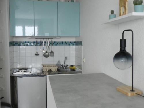 Η κουζίνα ή μικρή κουζίνα στο Studio cosy 3 pers, proche pistes, ski casier - FR-1-557A-59