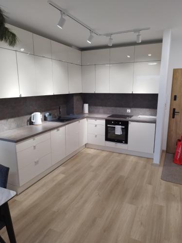 Η κουζίνα ή μικρή κουζίνα στο nowy apartament