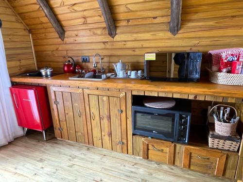 a kitchen with a counter with a microwave and a sink at Chalé Araucária in Bom Retiro