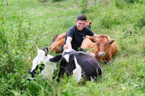 a man is sitting in a field with cows at Casa Lajas - Casa 1 - Hospedaje, Granja y Turismo Rural in Turrialba