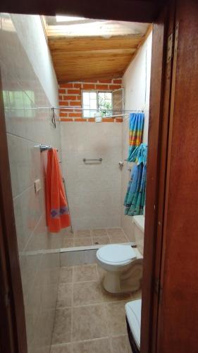 a bathroom with a toilet and a shower with a window at country estate in Pasto