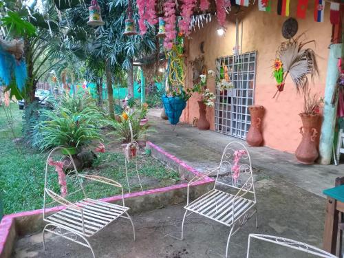 a garden with two chairs and plants in front of a house at Cabaña de Lucas in Loma Bonita
