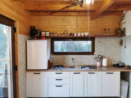 a kitchen with a white refrigerator and a sink at Secluded holiday house Kali, Ugljan - 23713 in Kali
