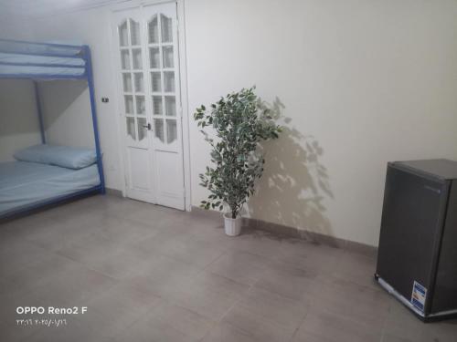 a room with a potted plant next to a door at AFB Hostel in Alexandria