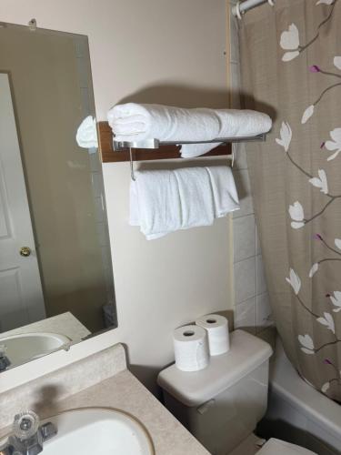 Koupelna v ubytování Sunrise Motel