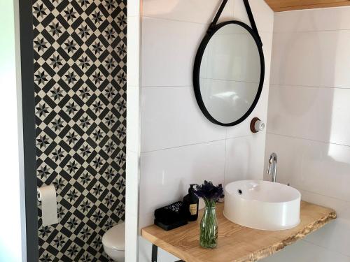 une salle de bain avec un lavabo et un miroir dans l'établissement Gîte Tranquille à la Ferme Vosgienne avec Parking - FR-1-589-779, à Sapois