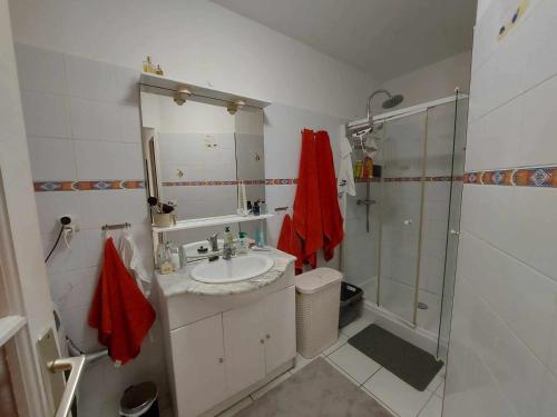 une salle de bain avec un lavabo et une douche dans l'établissement Appartement 3 pièces avec terrasse, clim et WIFI, proche plage et commerces - FR-1-423-312, au Grau-dʼAgde