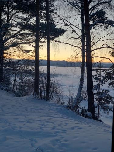 a winter sunset over a snowy field with trees at Mörkölä in Vuokatti