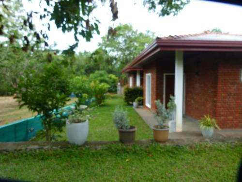 a house with potted plants in front of a yard at Suriya Cottage Family Resort in Habarana