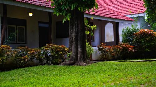 Taman di luar Habarana INN