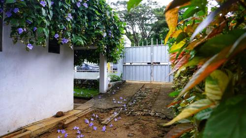 Taman di luar Habarana INN