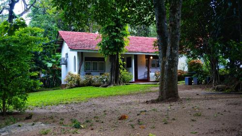 Taman di luar Habarana INN