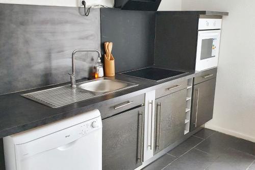 une petite cuisine avec un évier et un micro-ondes dans l'établissement Appartement spacieux à Perpignan, à Perpignan