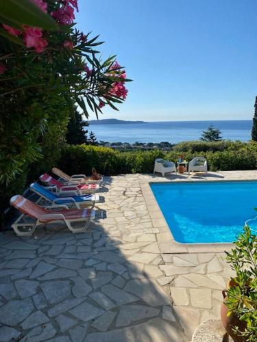 - une piscine avec des chaises longues à côté dans l'établissement Villa du Parc, à Cavalaire-sur-Mer
