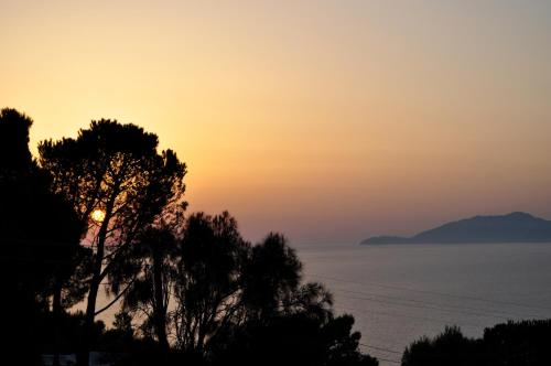 a sunset over the water with a tree in the foreground at B&B Il Sogno in Anacapri