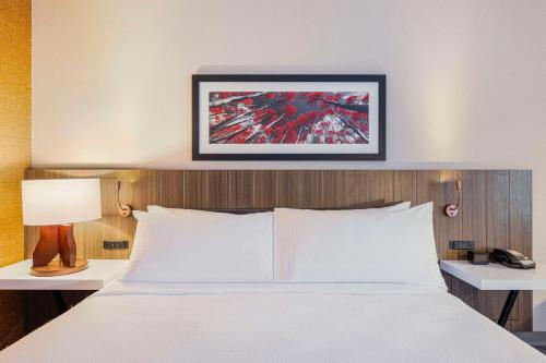 a bed in a hotel room with a picture on the wall at Hilton Garden Inn Colorado Springs Airport in Colorado Springs
