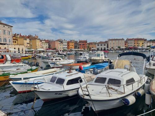 Charmantes Apartment nur 700 Meter zum Strand mit Terrasse und Balkon