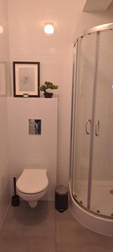 a bathroom with a toilet and a shower at Apartament Blue in Płock