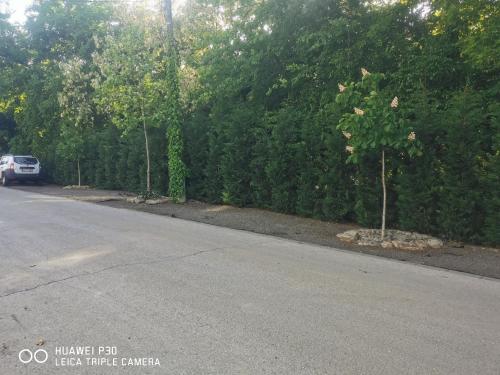 a white car parked on the side of a road at Kúria Apartman Private Wellness in Budapest