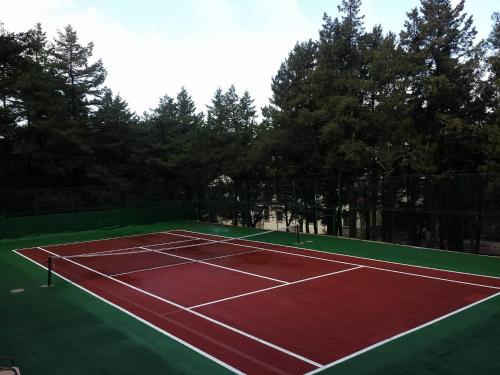 Tenis a/nebo squash v ubytování Elafos Hotel nebo okolí