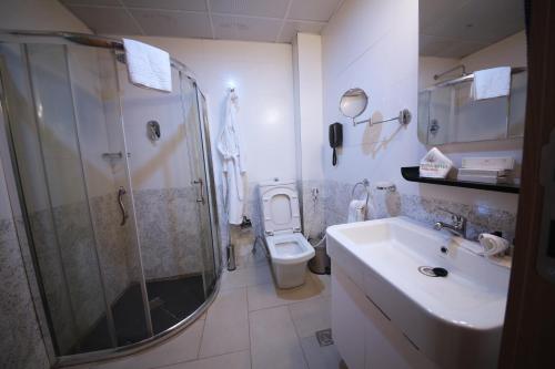 a bathroom with a shower and a toilet and a sink at Momona Hotel in Addis Ababa