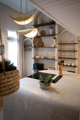 une cuisine avec une table et une plante. dans l'établissement La Tête Penchée - Maison Duplex 2 Chambres et Jacuzzi, à Deûlemont