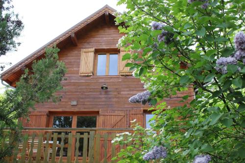 a log cabin with windows and trees at Le Chalet du Berger in Briançonnet