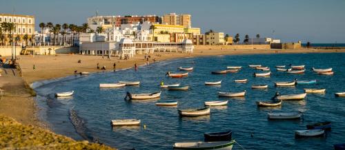 Alameda apodaca