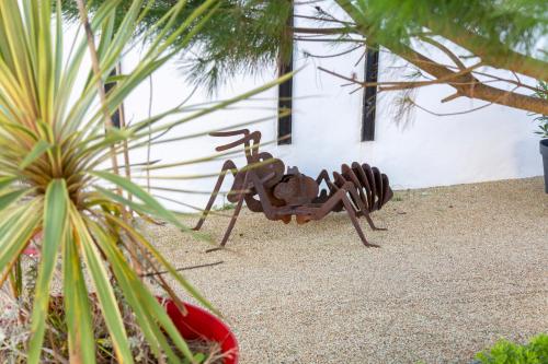 B&Bの敷地内または近くにいる動物