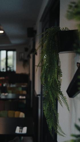 a green plant is hanging from a wall at Boutique Hotel GreenLeaf in Sinzing