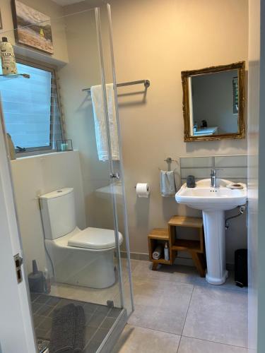 a bathroom with a toilet and a sink at The Wood Owl Nature's Valley in Natureʼs Valley