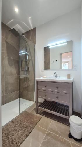 une salle de bain avec un lavabo et une douche dans l'établissement Suite Aalto, à Saint-Dizier