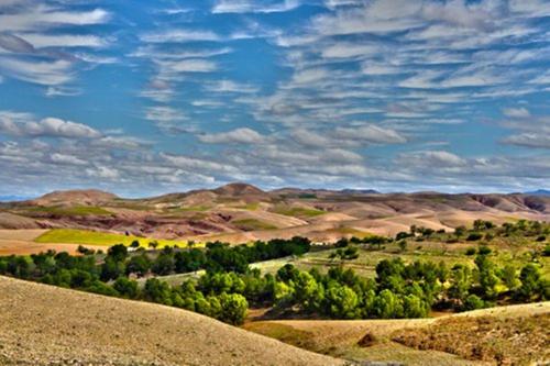 a view of a field with trees and mountains at Chez Kossai Atlas Farm in Chtawna