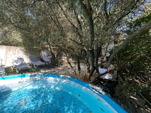 - une piscine dans une cour arborée dans l'établissement La farniente, à Nîmes