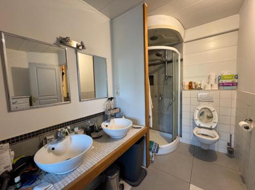 a bathroom with two sinks and a shower and a toilet at Maison à l'orée du bois in Frangy